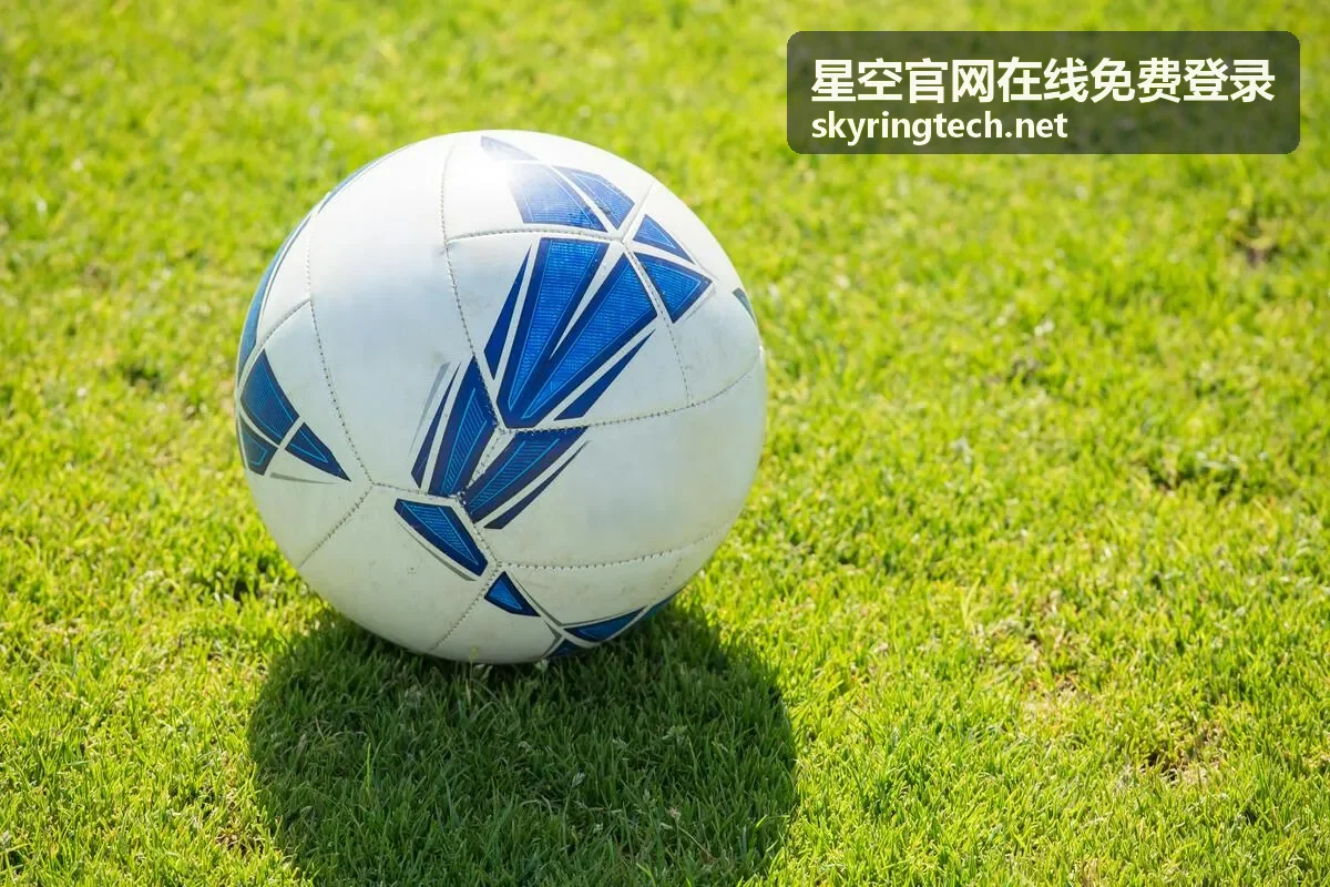 星空官网在线免费登录的账号开通与验证步骤示意