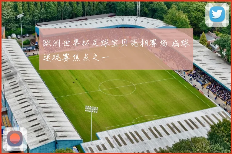 欧洲世界杯足球宝贝亮相赛场 成球迷观赛焦点之一