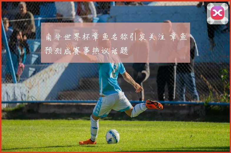 南非世界杯章鱼名称引发关注 章鱼预测成赛事热议话题